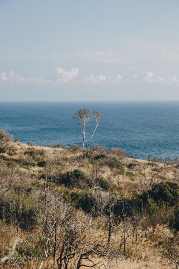 Vacanza in Italia alle Isole Tremiti - San Nicola - Nuovi Giorni Blog