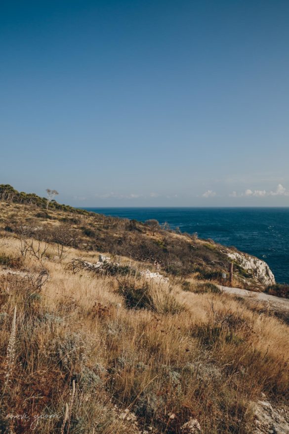 Vacanza in Italia alle Isole Tremiti - San Domino - Incendio - Nuovi Giorni Blog