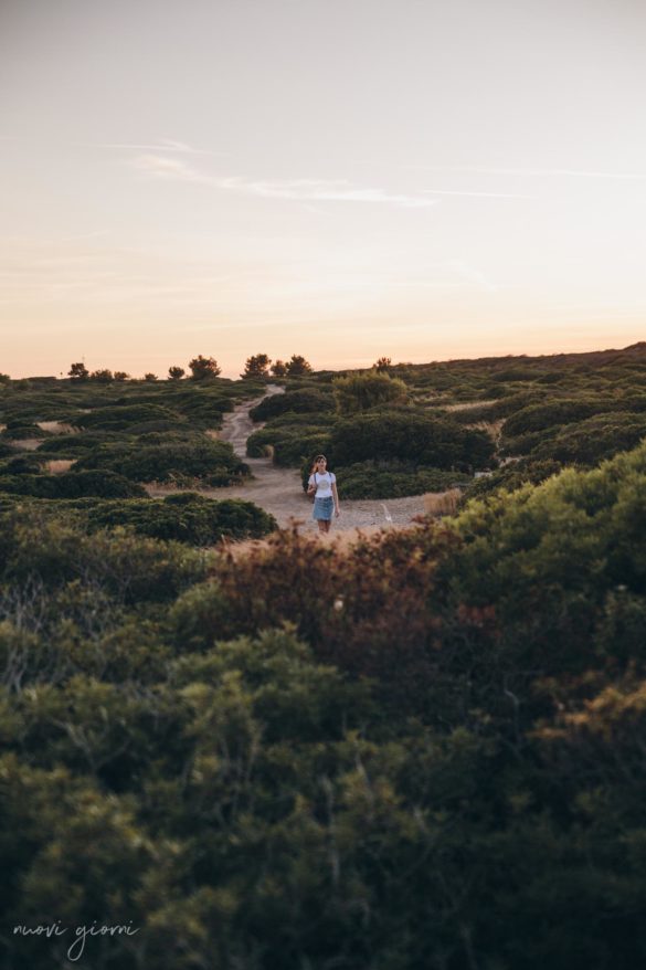 Vacanza in Italia alle Isole Tremiti - Alice fra i Cespugli- San Nicola - Nuovi Giorni Blog